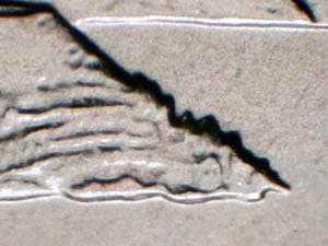2005-D Doubled Die Reverse DDR-009
