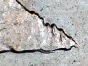 2005-D Doubled Die Reverse DDR-010