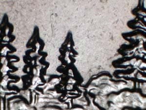2005 Doubled Die Reverse DDR-016