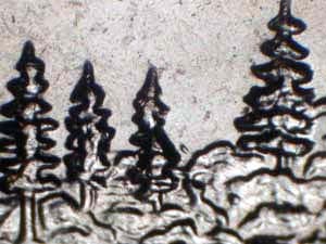 2005 Doubled Die Reverse DDR-029