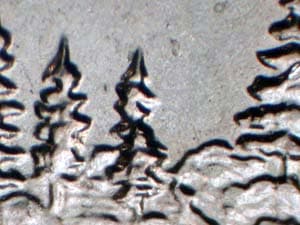2005 Doubled Die Reverse DDR-043