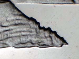 2005-S Doubled Die Reverse DDR-004