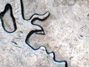 2007 Doubled Die Reverse DDR-027