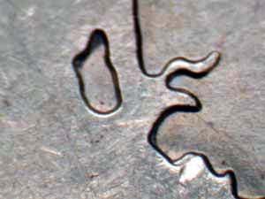 2007 Doubled Die Reverse DDR-046