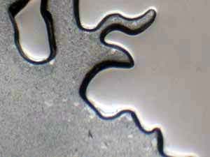 2007-S Doubled Die Reverse DDR-006