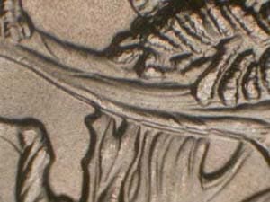 2013 Doubled Die Reverse DDR-002