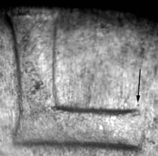 1934 Doubled Die Obverse DDO-010