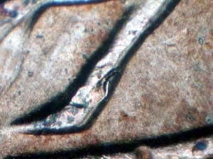 1945-S Doubled Die Reverse DDR-003