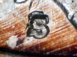 1941-S Repunched Mintmark RPM-001