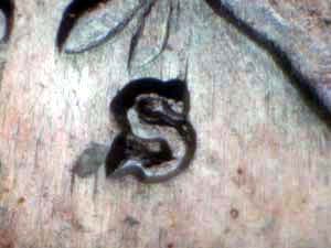 1941-S Repunched Mintmark RPM-008