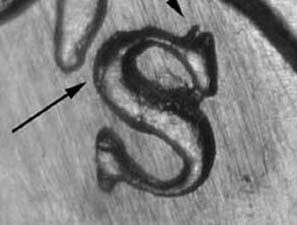 1944-S Repunched Mintmark RPM-001